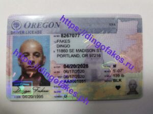 OREGON(OR NEW)
