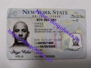NEW YORK(NY O21)