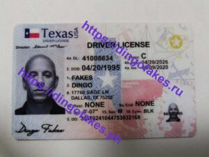 Scannable IDs Online - High Quality and Authentic-Looking - Dingo Fakes
