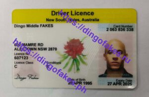 Dingo Fakes Aus Fake Id - Dingo Fakes Official - FakeIDVendors