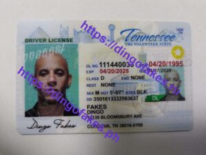 TENNESSEE(TN O21)